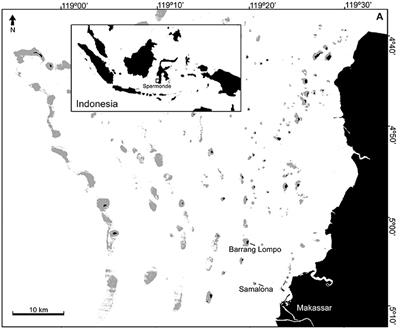 Reduced Genetic Diversity in the Clown Anemonefish Amphiprion ocellaris in Exploited Reefs of Spermonde Archipelago, Indonesia